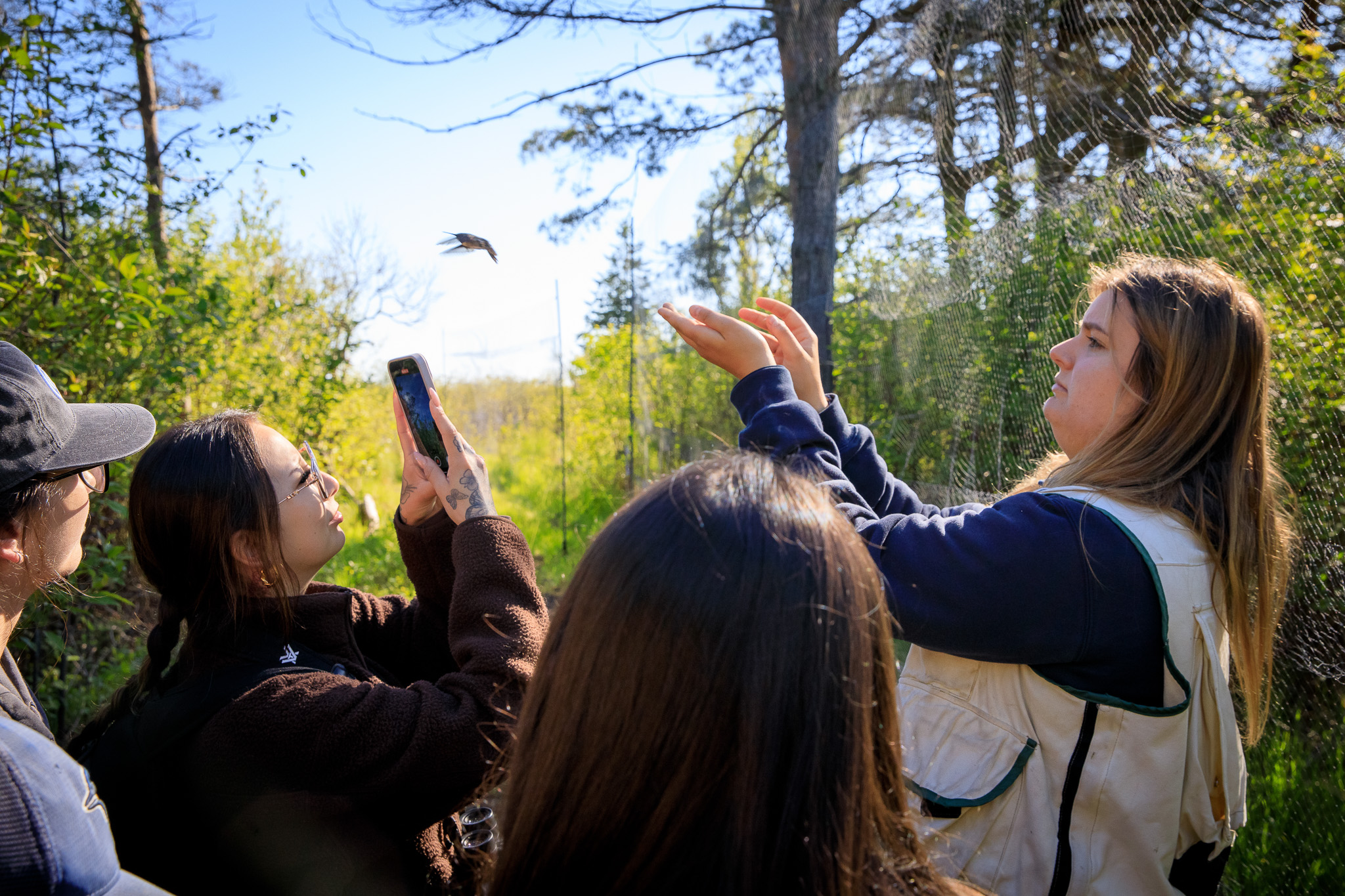 Field Research at Long Point Bird Observatory
