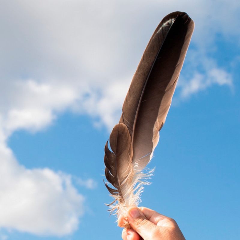 holding eagle feather