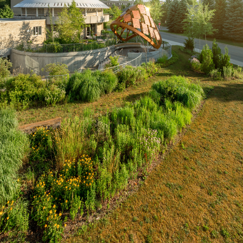 indigenous food and medicine on campus at the wampum learning lodge